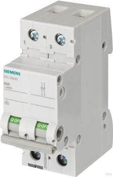 Siemens Ausschalter 40A 2-polig (5TL1240-0)