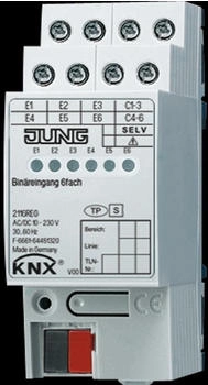 Jung KNX Bin&auml;reingang 6fach (2116REG)