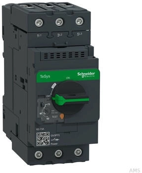 Schneider Electric 3p 62-73A TH.MAG. (GV3P73)