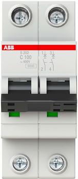 ABB S202-C100 6kA 100A 2P (2CDS252001R0824)