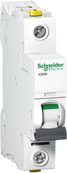 Schneider Electric iC60N 1P 1A (A9F04101)