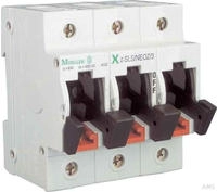 Eaton 248249 Sicherungs-Lasttrennschalter +Blinkfunktion, 63A, 3P
