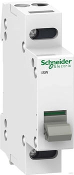 Schneider iSW 2P 32A 415V (A9S60232)