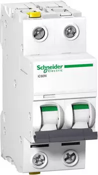 Schneider Electric Leitungsschutzschalter iC60N 2P 10A D Charakteristik (A9F05210)