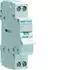 Hager Modularer Trennschalter 2P 32A (SBN232)