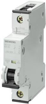 Siemens 5SY4106-7