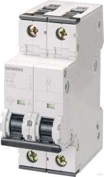 Siemens 5SY42106 (2-polig, 10 A)
