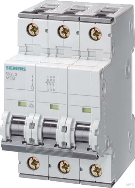 Siemens 5SY43066 (3-polig, 6 A)