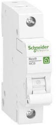 Schneider Electric R9F23120
