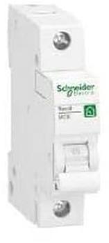 Schneider Electric R9F23106