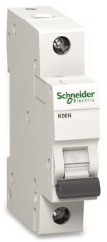 Schneider Electric K60N