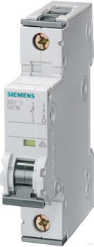 Siemens 5SY4132-6