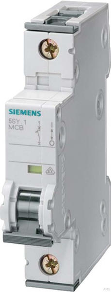 Siemens 5SY4132-6