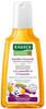 PZN-DE 11045980, RAUSCH ( RAUSCH Kamillen Amaranth Repair Shampoo 200 ml, Grundpreis: