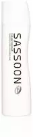 Sassoon 6726, Sassoon Colour Treatment Illuminating Clean Shampoo 1000 ml,
