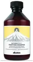 Davines 71211, Davines Naturaltech Purifying Shampoo 100 ml