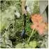 Fiskars OneClick Blumenkelle, Borstahl, 273mm (1080693)