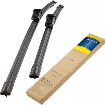 Michelin ECO100