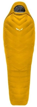Salewa Puez RDS Down -12 Long LZ gold