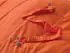 Therm-a-Rest Polar Ranger -20F/-30C (2026) Flame Regular