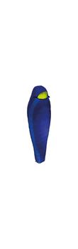 Salewa Lima Ultralight (blue, RZ)