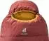 Deuter Astro 300 (Reg, redwood-curry, LZ)