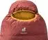 Deuter Astro 300 (Large, redwood-curry, LZ)