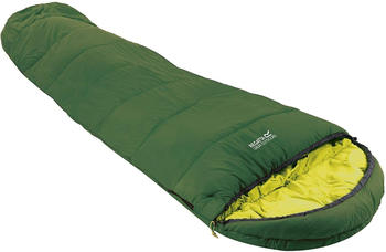 Regatta Men's Montegra 300 Polyester Sleeping Bag alpine green