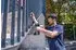 Bosch Professional GDS 18V-450 HC
