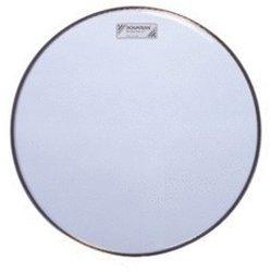 Aquarian Response 2 Clear 8"