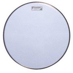 Aquarian Response 2 Clear 18"
