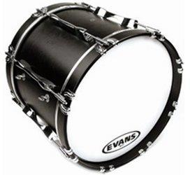 Evans MS1 White 24"