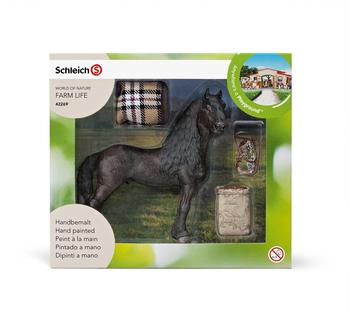 Schleich Friese - Pferdepflegeset