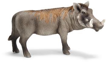 Schleich Warzenschwein (14611)