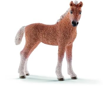 Schleich Bashkir Curly Fohlen