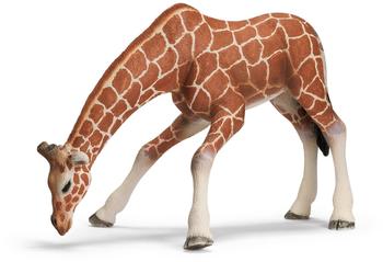 Schleich Giraffenkuh, saufend (14390)