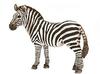 Schleich 17021, Schleich Zebra Stute