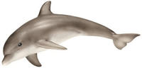 Schleich Delfin (14699)