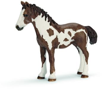 Schleich Pinto Jährling (13695)