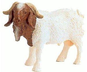 Schleich Burenziegenbock