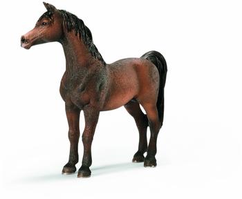 Schleich Araber Hengst (13629)