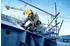 Bosch EXWS18V-15S (0.601.9M6.003)