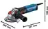 Bosch GWX 17-125 S Professional (06017D2300)