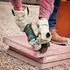 Bosch UniversalGrind 18V-75