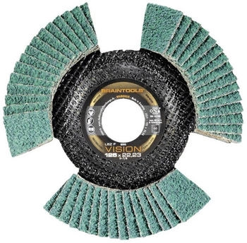 RHODIUS Lamellenschleifscheibe VISION COOL 115 mm K60 (207084)