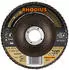 RHODIUS ALPHAline LSZ F2 Fächerschleifscheibe 100x16mm K80 (209665)