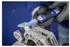 Pferd Set Di Mole 2001 M6 Ar G J 5 V (33920135)