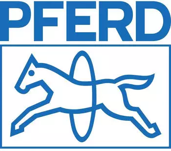 Pferd Schleifscheibenabrichter &Oslash;22mm, L&auml;nge 250mm (33300004)