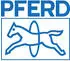 Pferd Schleifscheibenabrichter Ø22mm, Länge 250mm (33300004)