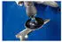Pferd COMBIDISC Schleifblatt SiC Ø50mm Körnung 36 (42754503)
